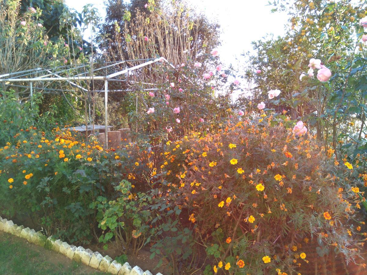 Maa Ananda Mayee Guest House Binsar Buitenkant foto