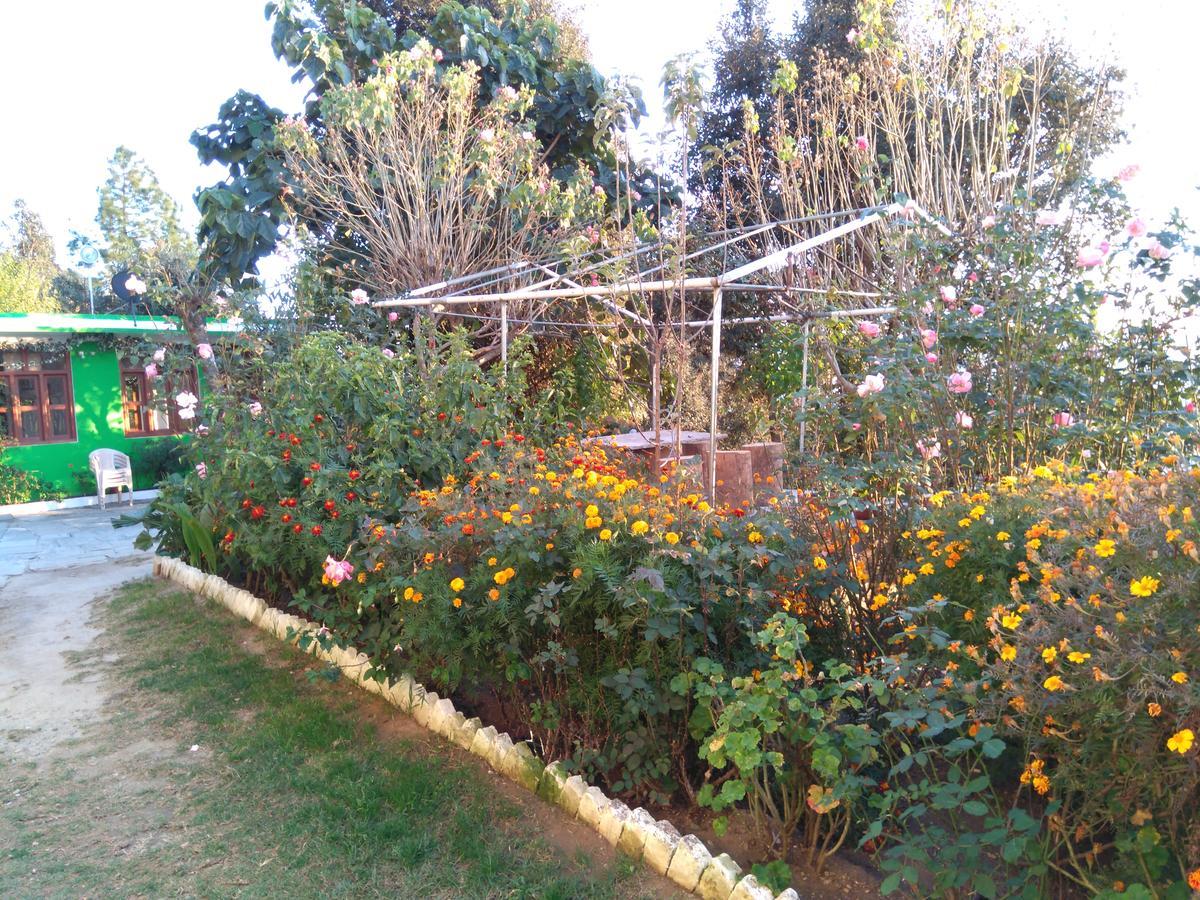 Maa Ananda Mayee Guest House Binsar Buitenkant foto