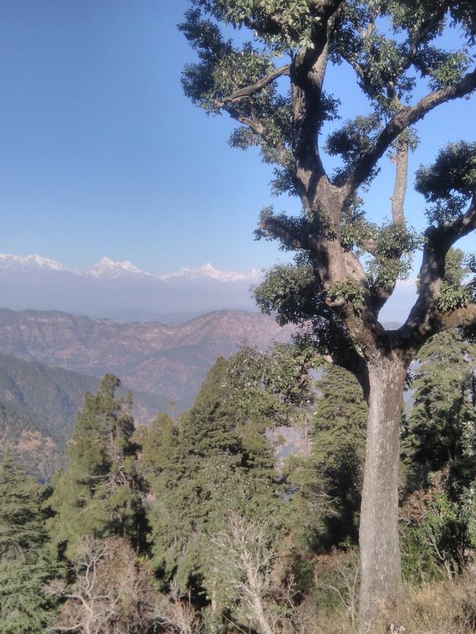 Maa Ananda Mayee Guest House Binsar Buitenkant foto