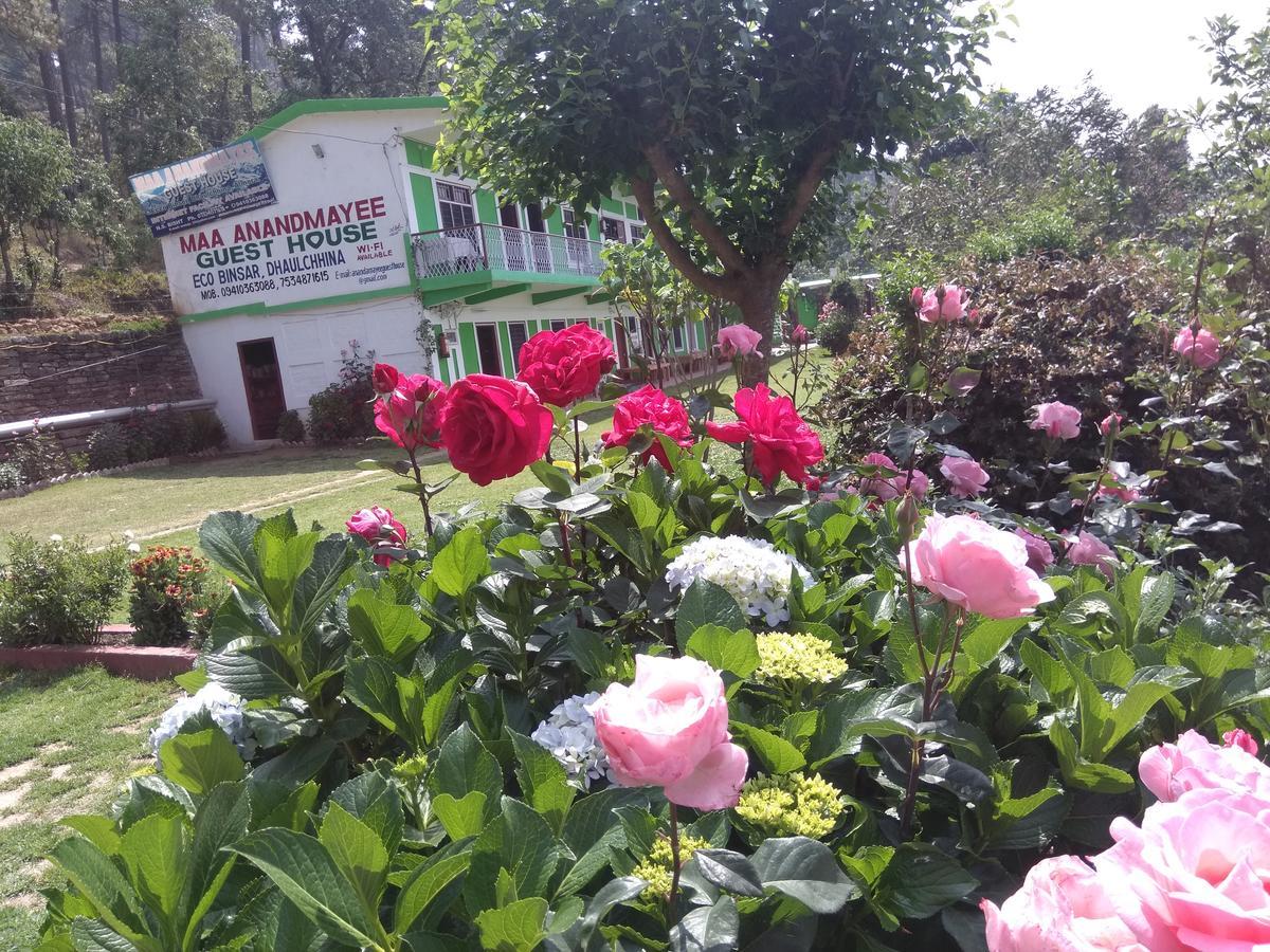 Maa Ananda Mayee Guest House Binsar Buitenkant foto