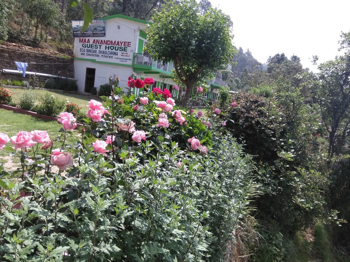 Maa Ananda Mayee Guest House Binsar Buitenkant foto